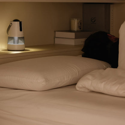 Mosquito Killer Lamp